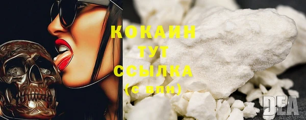 прущие грибы Верея