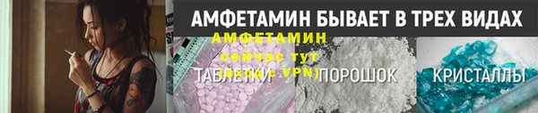 прущие грибы Верея