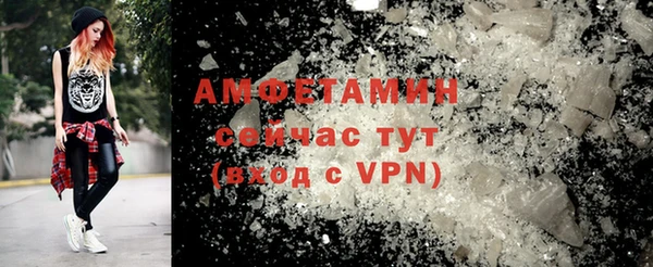 прущие грибы Верея