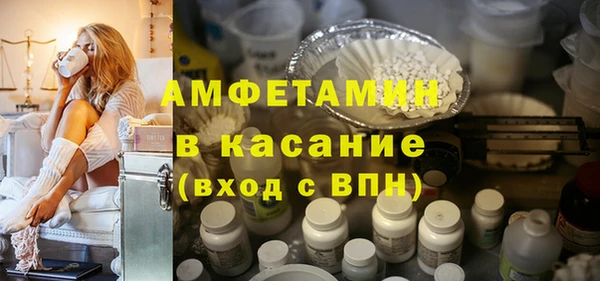сатива Бородино