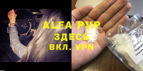 прущие грибы Верея