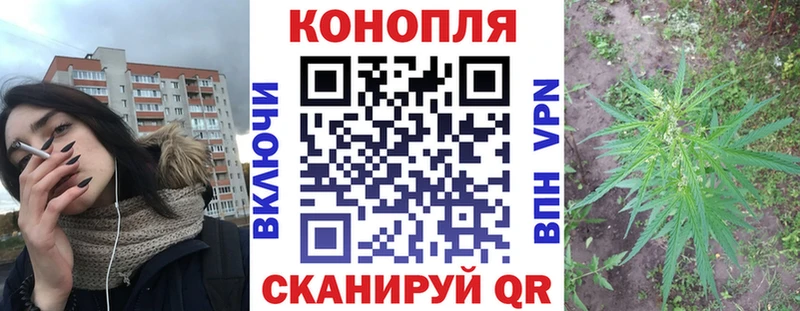 Каннабис сатива  Грязовец 